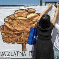 Prosvjed za Pelegreniku