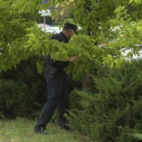 Dojava o bombi u zagrebačkom Poglavarstvu