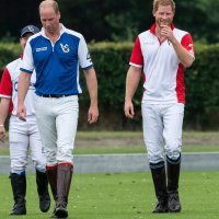 Utakmica pola, 2019.