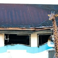 Požar u akvaparku Aqualuna