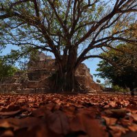 Arheološka zona El Meco na teritoriju Quintane Roo