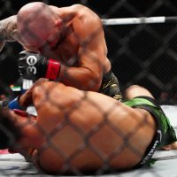 Volkanovski - Rodriguez