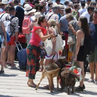 Šibenik: Turističke gužve za šibenske otoke