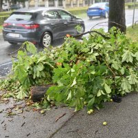 Jutrošnje nevrijeme u gradu rusšilo grane stabala uz prometnice