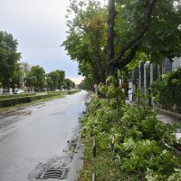 Jutrošnje nevrijeme u gradu rusšilo grane stabala uz prometnice