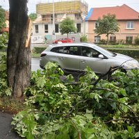 Jutrošnje nevrijeme u gradu rusšilo grane stabala uz prometnice