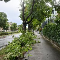 Jutrošnje nevrijeme u gradu rusšilo grane stabala uz prometnice