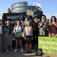 Prosvjedi ispred EU parlamenta u Strasbourgu: Greta Thunberg i zeleni aktivisti