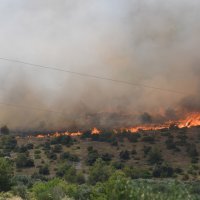 Požar kod Grebaštice