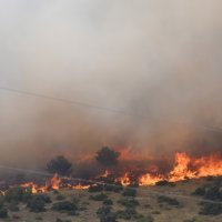 Požar kod Grebaštice