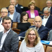 Sjednica saborskog Odbora za gospodarstvo o plinskoj aferi