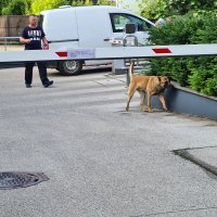 Dojava o bombi u Hanza mediji