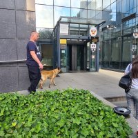 Dojava o bombi u Hanza mediji