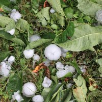 Krško: Tuča napravila štetu na automobilima i stambenim objektima