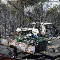 Apokaliptične scene dan nakon velikog požara kod Grebaštice