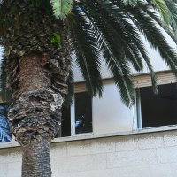 Dojava o bombi u zgradi Banovine u Splitu