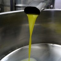 Proizvodnja maslinova ulja