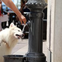 Vrućine u Rijeci - toplinski val u centru grada
