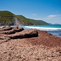 Plaža Ostriconi, Sjeverna Korzika, Francuska