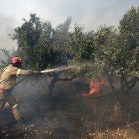 Požari u Grčkoj