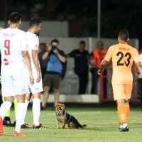 Pas prekinuo utakmicu NK Zrinjski i FC Urartu