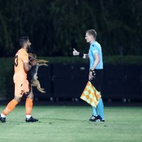 Pas prekinuo utakmicu NK Zrinjski i FC Urartu