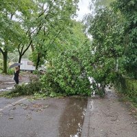 Nevrijeme u Zagrebu - Sigečica