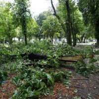 Posljedice nevremena u Karlovcu