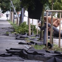 Posljedice nevremena u Ljubljani