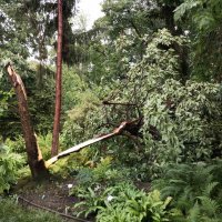 Posljedice nevremena u Botaničkom vrtu