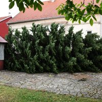 Katastrofalne posljedice snažnog nevremena u Slavonskom Brodu