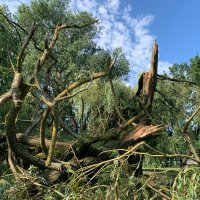 Posljedice nevremena na Jarunu