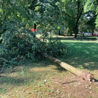 Posljedice nevremena na Jarunu