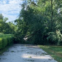Posljedice nevremena na Jarunu