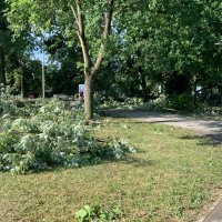 Posljedice nevremena na Jarunu