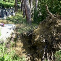U nezapamćenoj oluji stradalo i zagrebačko groblje Mirogoj
