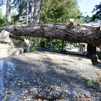 U nezapamćenoj oluji stradalo i zagrebačko groblje Mirogoj