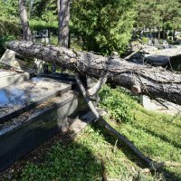 U nezapamćenoj oluji stradalo i zagrebačko groblje Mirogoj