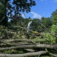 Zagrebački Zoološki vrt pretrpio štetu u nevremenu