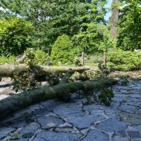 Zagrebački Zoološki vrt pretrpio štetu u nevremenu