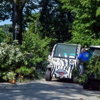 Zagrebački Zoološki vrt pretrpio štetu u nevremenu