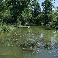 Zagrebački Zoološki vrt pretrpio štetu u nevremenu