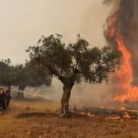 Požari u Grčkoj