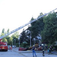 Sanacija šteta u naselju Špansko nakon jučerašnjeg nevremena