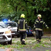 Olujni vjetar srušio je stablo na cestu u Rijeci