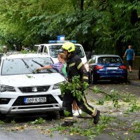 Olujni vjetar srušio je stablo na cestu u Rijeci