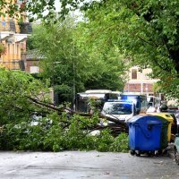 Olujni vjetar srušio je stablo na cestu u Rijeci
