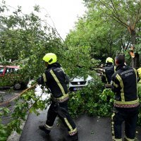 Olujni vjetar srušio je stablo na cestu u Rijeci