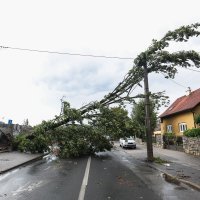 Posljedice novog nevremena u Zagrebu