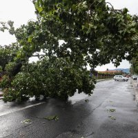 Posljedice novog nevremena u Zagrebu